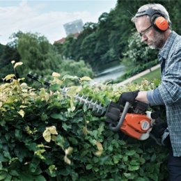 Tree & Hedge Cutting